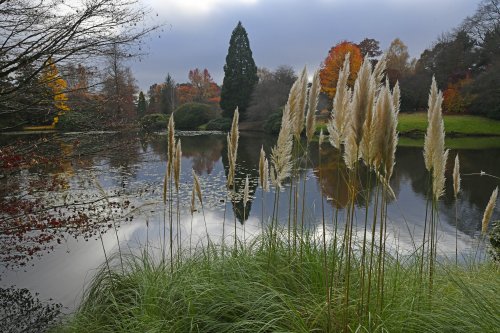 Sheffield Park & Garden