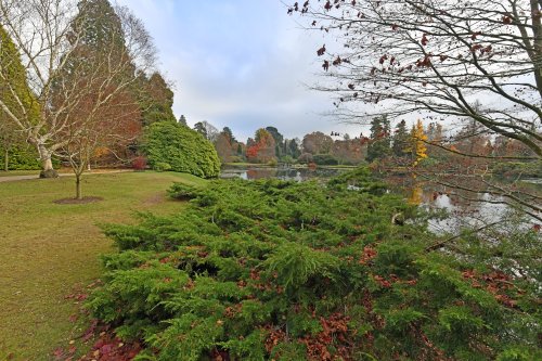 Sheffield Park & Garden