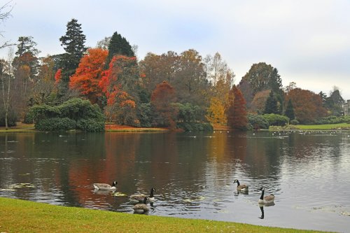 Sheffield Park & Garden