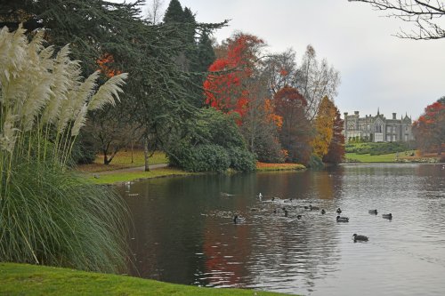Sheffield Park & Garden