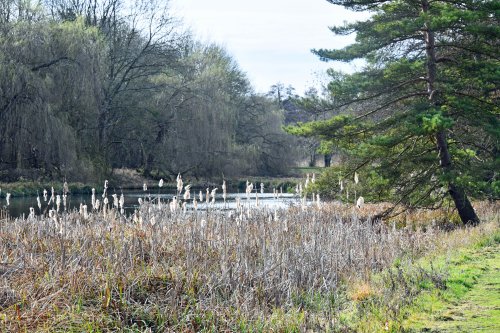 Wrest Park House and Gardens