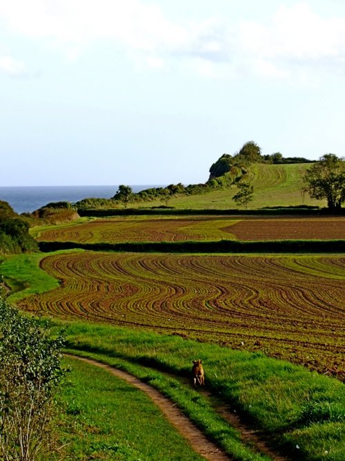 Southwest long distance path