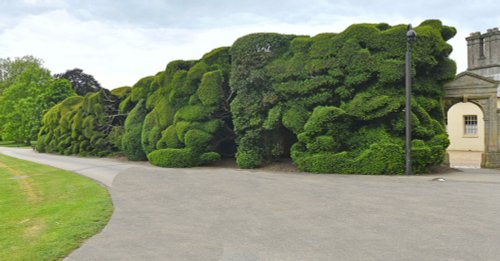 Audley End Gardens