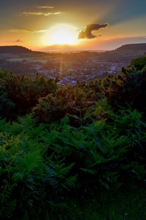 Salcombe Hill sunset