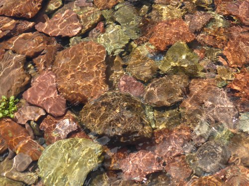 Sparkling Colours in the Stream On the Way to Manorbier Beach.