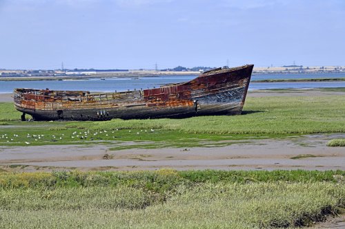 Riverside Country Park, Kent