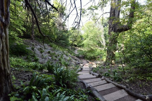 Walmer Castle & Garden