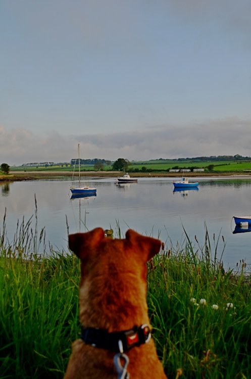 Alnmouth– River Aln