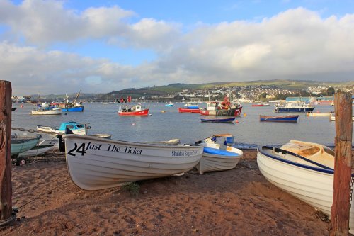 Shaldon boats