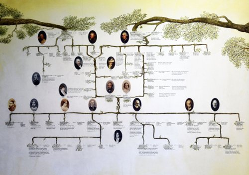 Family tree of Darwin at Down House