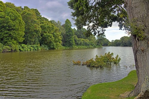 Sheffield Park & Garden