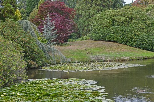Sheffield Park & Garden