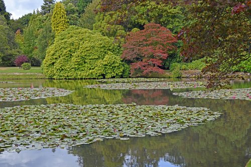 Sheffield Park & Garden