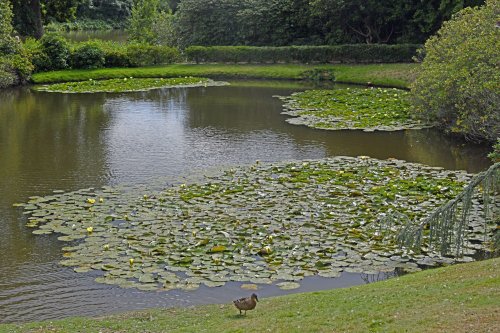 Sheffield Park & Garden