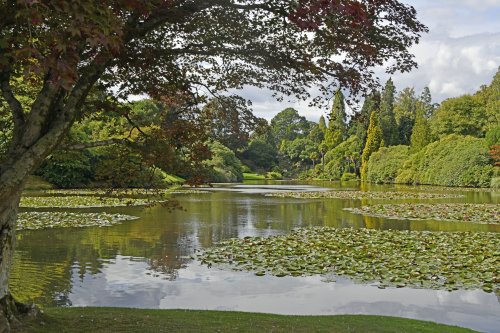 Sheffield Park & Garden