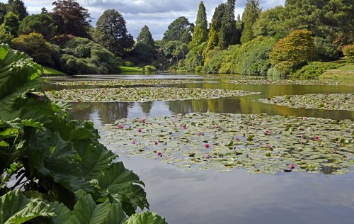 Sheffield Park & Garden