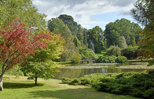 Sheffield Park & Garden