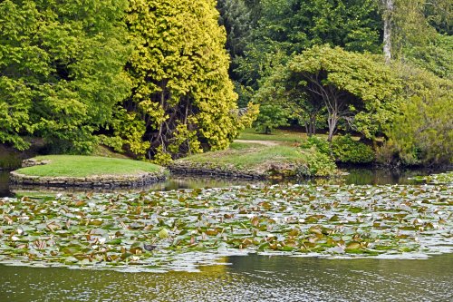Sheffield Park & Garden