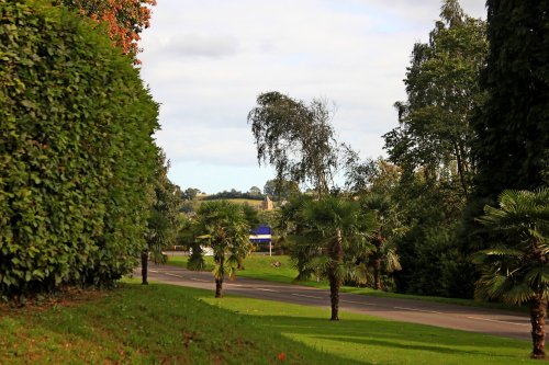 Bicton Park