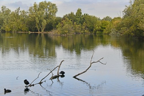 Leybourne Lakes Country Park