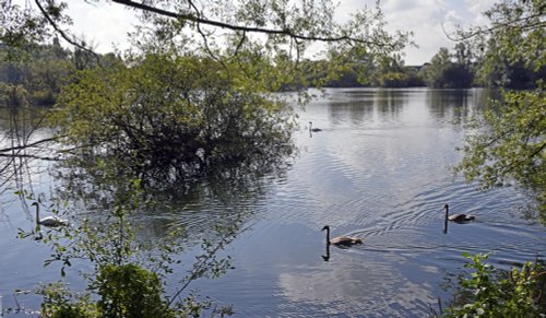 Leybourne Lakes Country Park, Kent