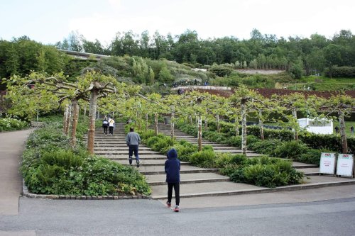 The Eden Project