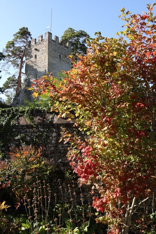 The Great Tower at Greys Court