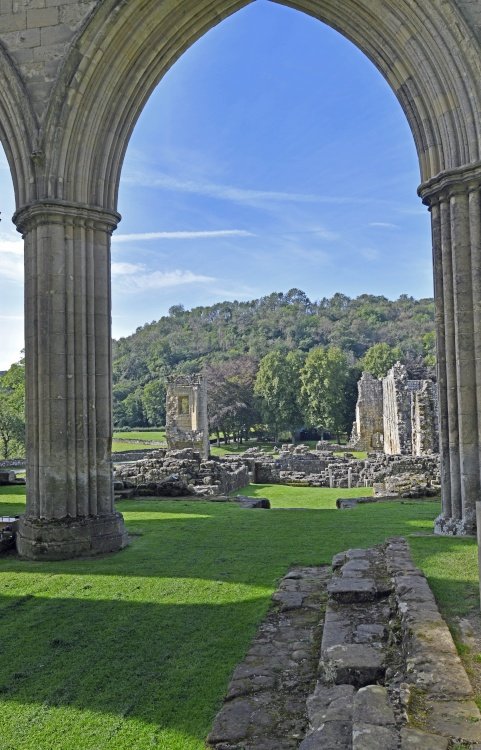 Rievaulx Abbey