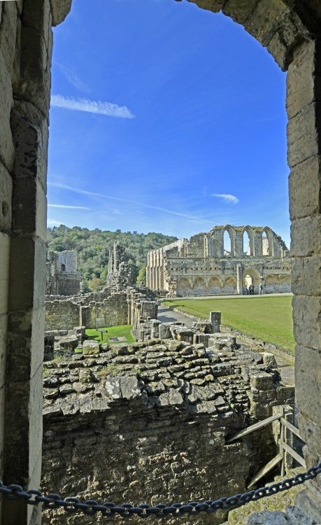 Rievaulx Abbey