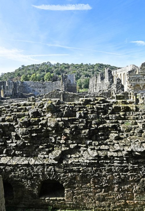 Rievaulx Abbey