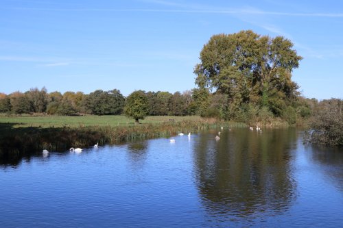 Mottisfont