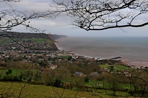 Sidmouth from high