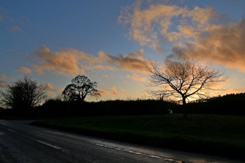 Budleigh trees and clouds