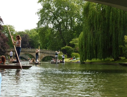 Punting on the Cam, city of Cambridge