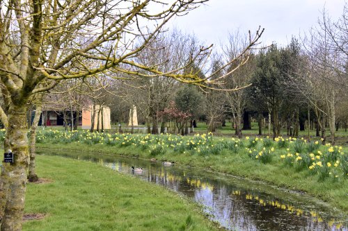 The National Memorial Arboretum