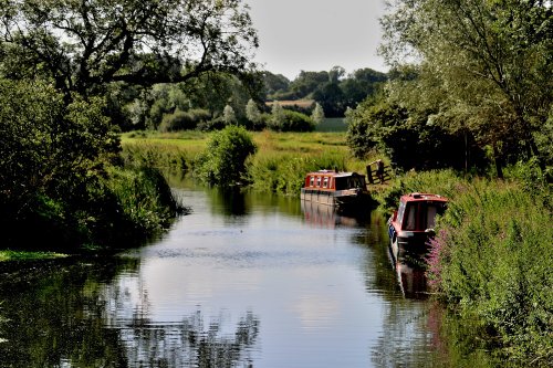 Chelmer and Blackwater Navigation Canal near Maldon, Essex