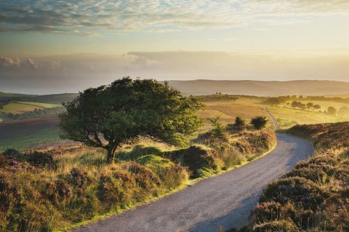 Road over Exmoor.