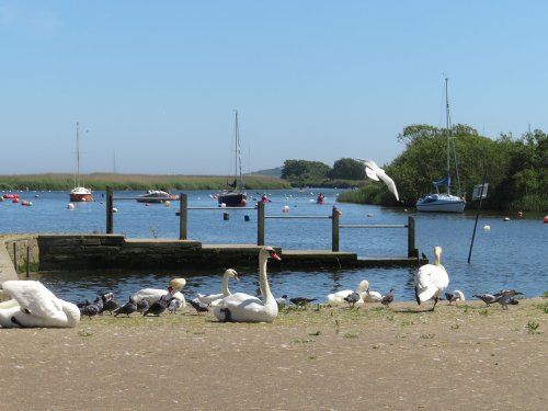 River scene in Christchurch at Town Quay