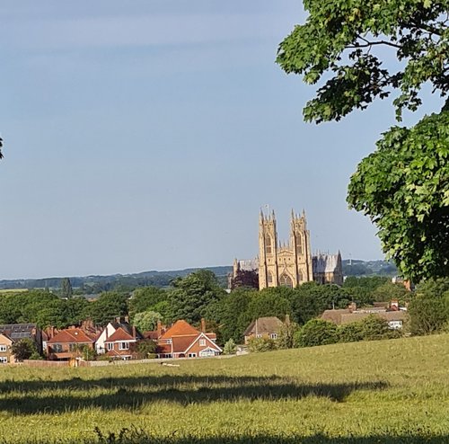 Beverley Minster, Beverley