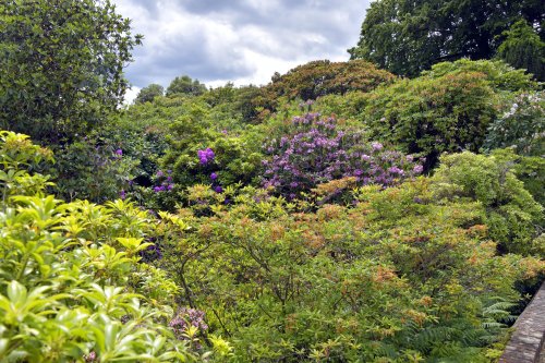 Riverhill Himalayan Gardens