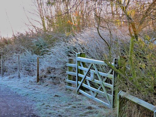 Frosty Gate RSPB Old Moor