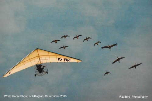 White Horse Show, nr Uffington, Oxfordshire 2006