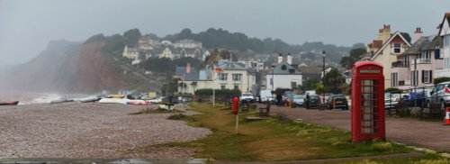 Budleigh in the wind