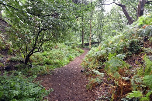 The Woodland Walk at Beeston Castle