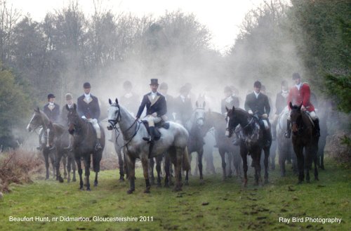 Beaufort Hunt, nr Didmarton, Gloucestershire 2011
