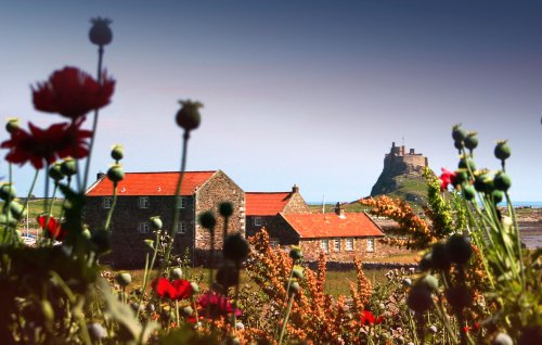 Across to the castle