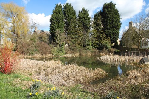 The village pond, Kirtlington