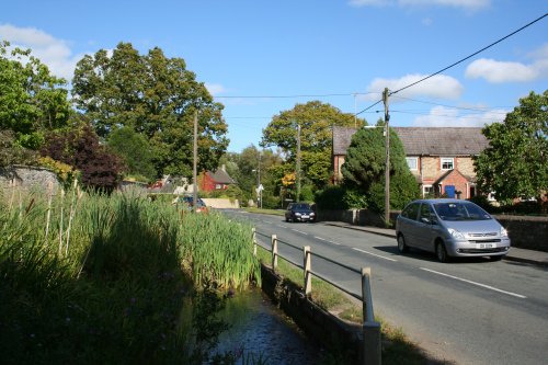The village pond in Appleton
