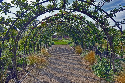 Belmont House & Gardens