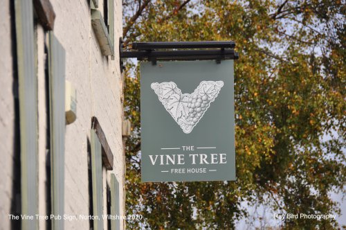 The Vine Tree Pub Sign, Norton, Wiltshire 2020